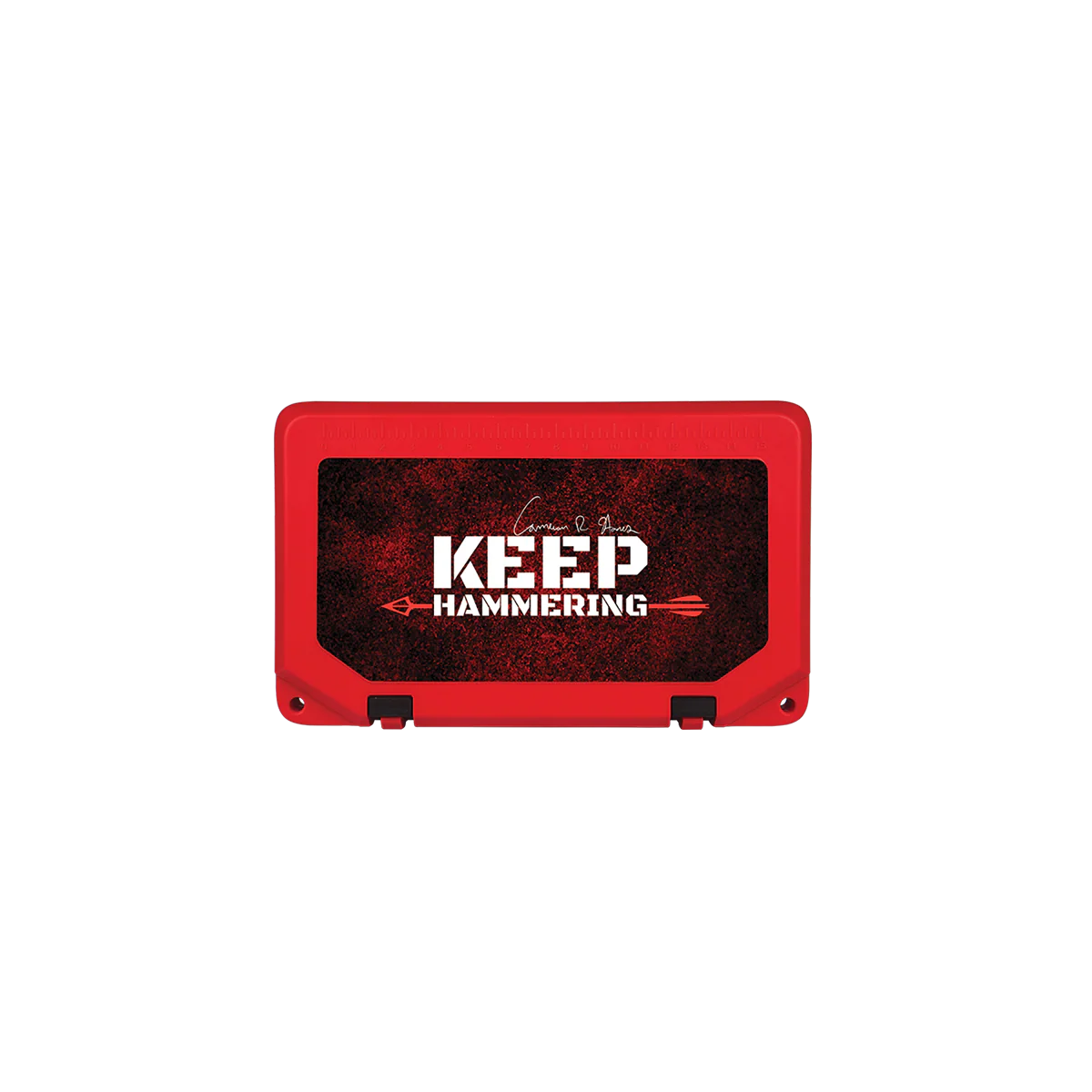 Keep Hammering Grizzly 15 - Image 13