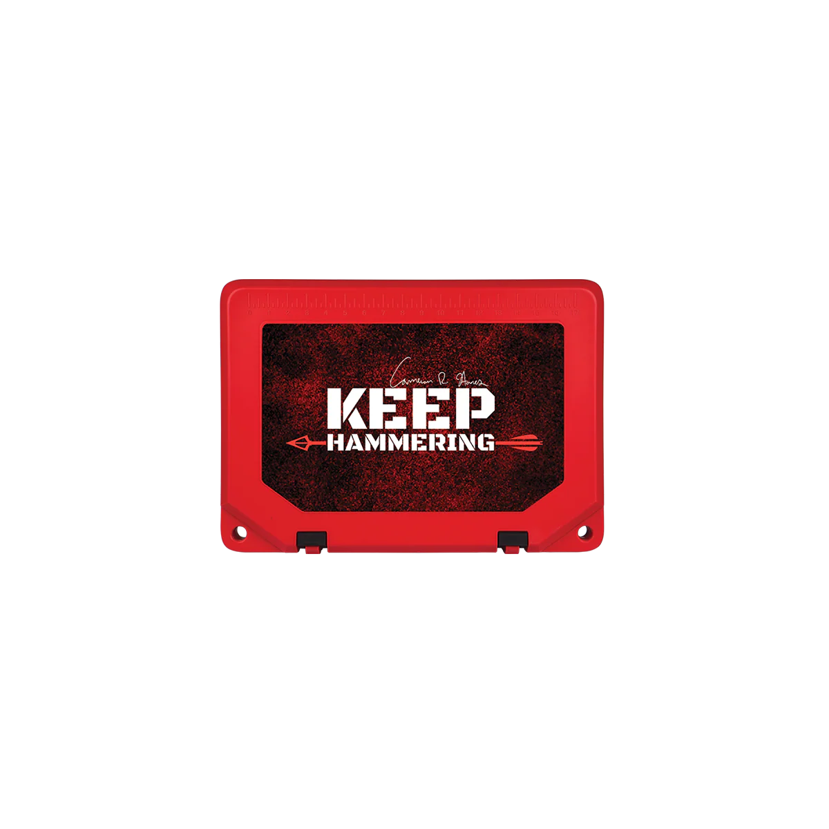 Keep Hammering Grizzly 20 - Image 13