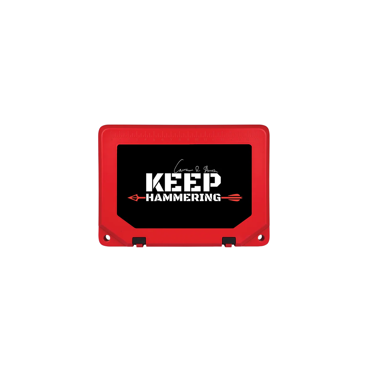 Keep Hammering Grizzly 20 - Image 9