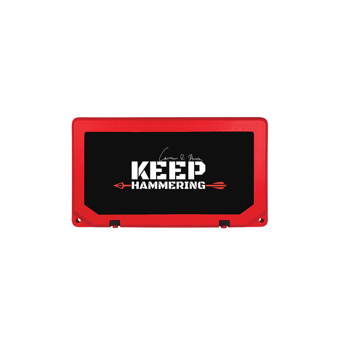 Keep Hammering Grizzly 60 - Image 9
